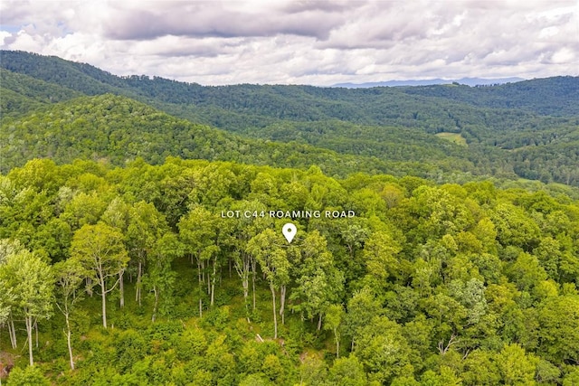 C44 Roaming Rd, Glenville, NC 28736
