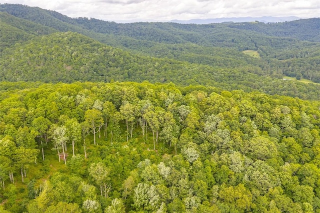 C44 Roaming Rd, Glenville, NC 28736
