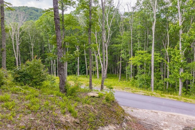 C44 Roaming Rd, Glenville, NC 28736