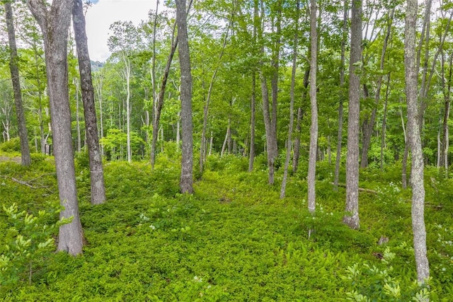 C44 Roaming Rd, Glenville, NC 28736