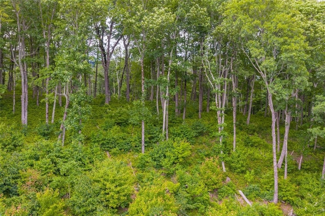 C44 Roaming Rd, Glenville, NC 28736