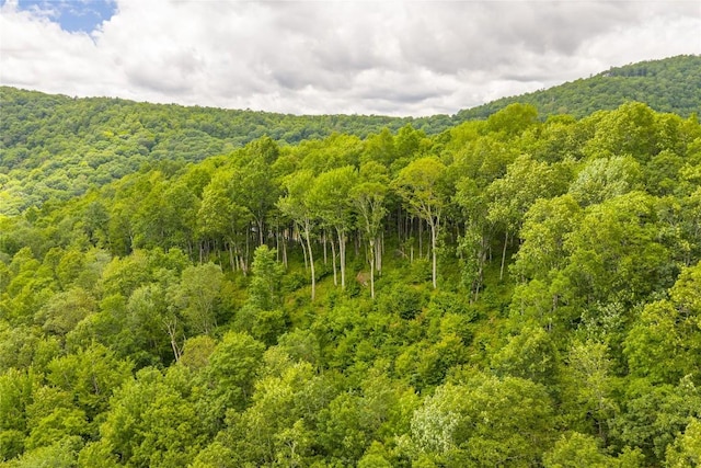 C44 Roaming Rd, Glenville, NC 28736