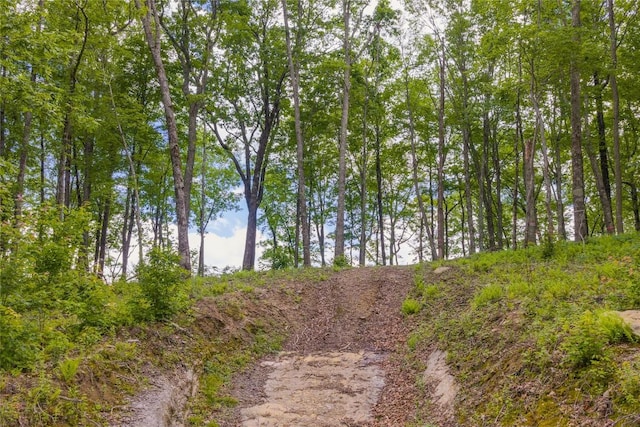 C44 Roaming Rd, Glenville, NC 28736