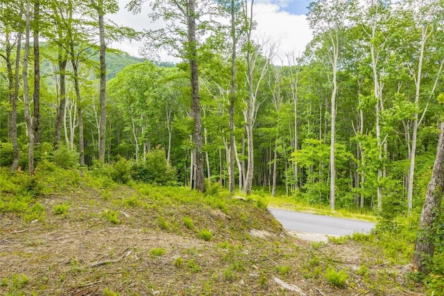 C44 Roaming Rd, Glenville, NC 28736