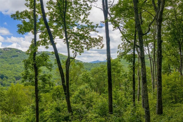 C44 Roaming Rd, Glenville, NC 28736