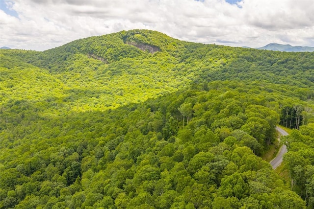C44 Roaming Rd, Glenville, NC 28736