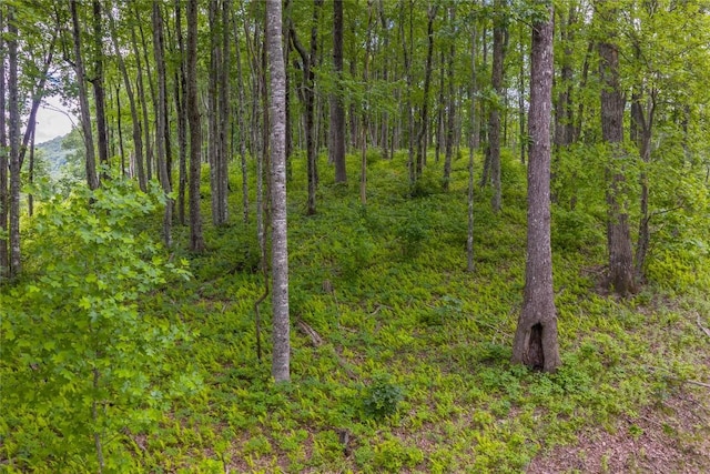 C44 Roaming Rd, Glenville, NC 28736