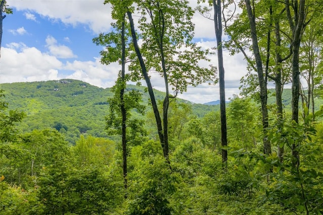 C44 Roaming Rd, Glenville, NC 28736