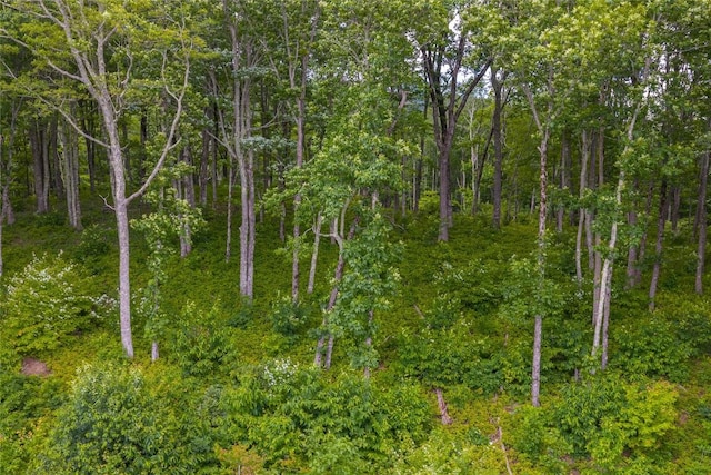 C44 Roaming Rd, Glenville, NC 28736