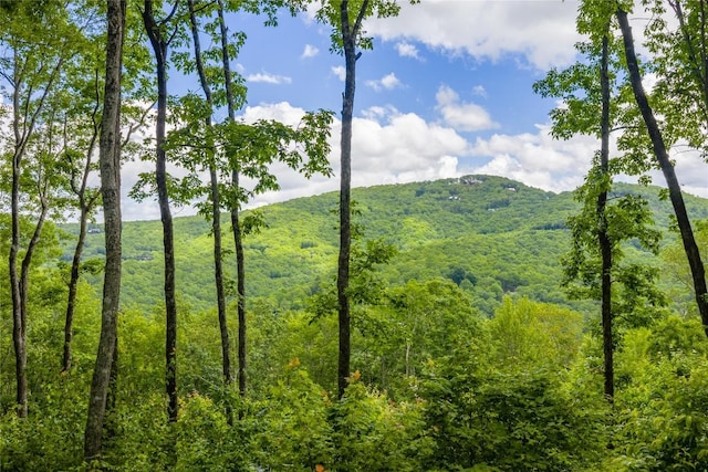 C44 Roaming Rd, Glenville, NC 28736