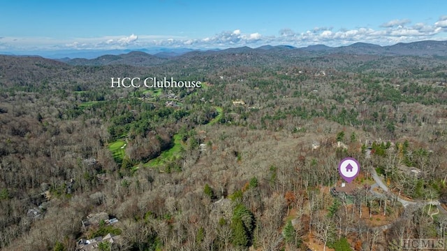 birds eye view of property featuring a mountain view