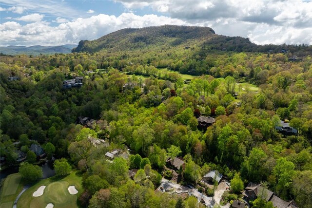 392 Birchwood Dr Unit 392, Highlands, NC 28741 - aerial overview of property's location featuring a forest and a mountain backdrop