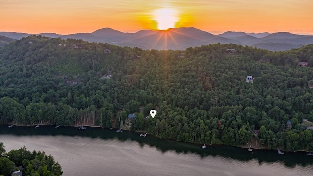 696 Strawberry Hill Rd, Cullowhee, NC 28723 - photo 71