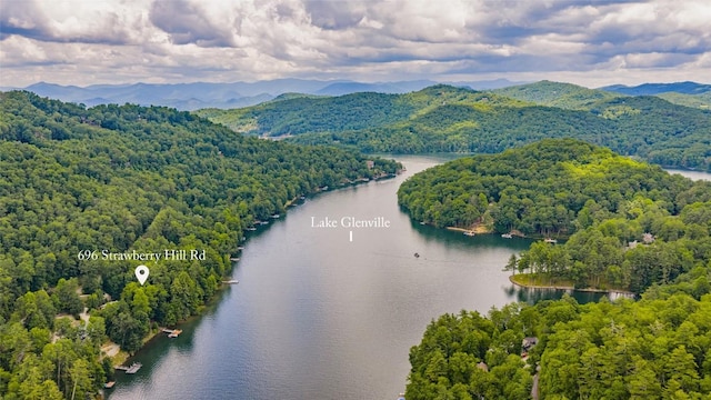 696 Strawberry Hill Rd, Cullowhee, NC 28723 - photo 4