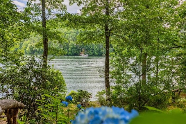 696 Strawberry Hill Rd, Cullowhee, NC 28723 - photo 63