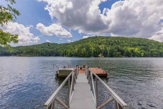 696 Strawberry Hill Rd, Cullowhee, NC 28723 - photo 6