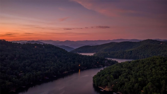 696 Strawberry Hill Rd, Cullowhee, NC 28723 - photo 81