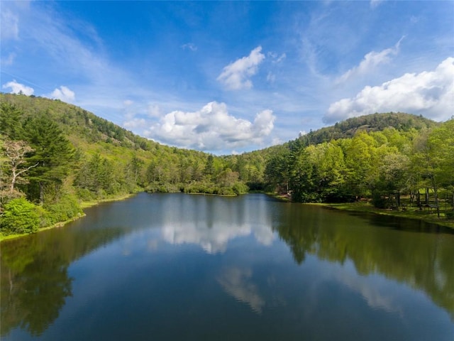 39 Firesong Ln, Glenville, NC 28736 - photo 77
