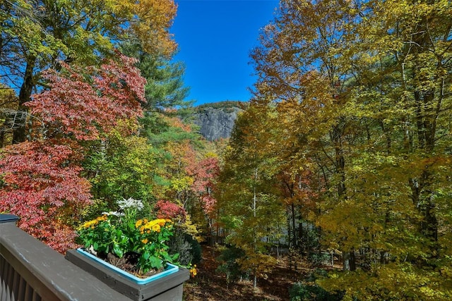 exterior space with a mountain view and a forest view