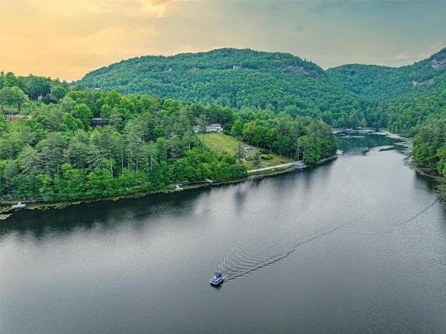 drone / aerial view featuring a wooded view and a water and mountain view
