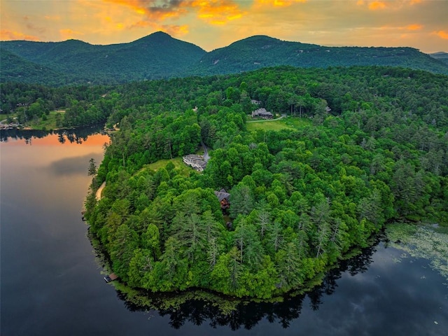 drone / aerial view featuring a wooded view and a water and mountain view