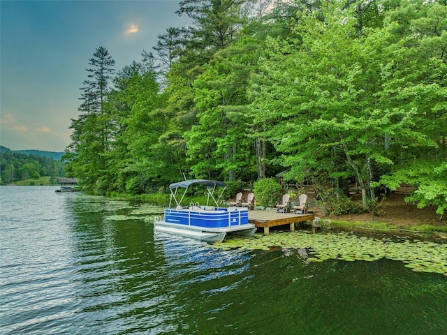 dock area with a water view and a view of trees