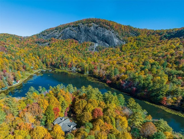 aerial view featuring a water and mountain view and a forest view