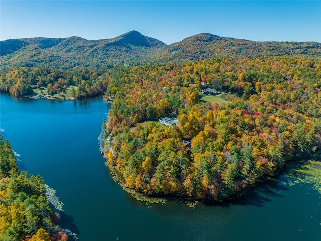 birds eye view of property featuring a water and mountain view and a wooded view