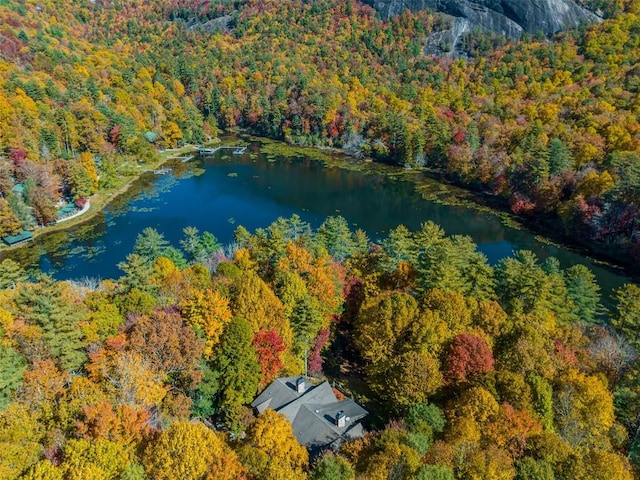 birds eye view of property featuring a water view and a wooded view
