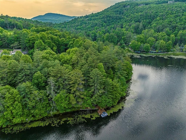 aerial view at dusk with a water and mountain view and a view of trees