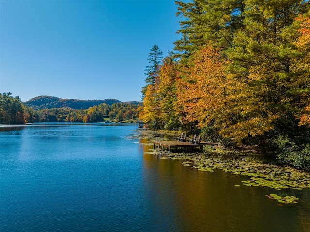 water view with a view of trees and a boat dock