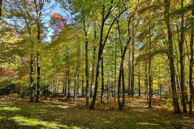 view of landscape featuring a forest view