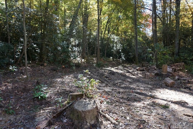 Listing photo 2 for TBD Turtle Pond Rd, Highlands NC 28741