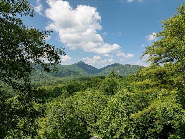 735 Trays Island Rd, Sapphire, NC 28774 - view of mountain background with a heavily wooded area