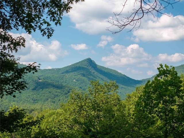 735 Trays Island Rd, Sapphire, NC 28774 - view of mountain background with a heavily wooded area