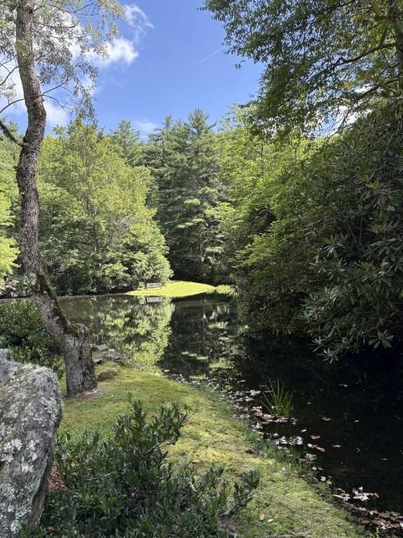 LOT6 Big Sheepcliff Rd, Cashiers, NC 28717 - photo 27