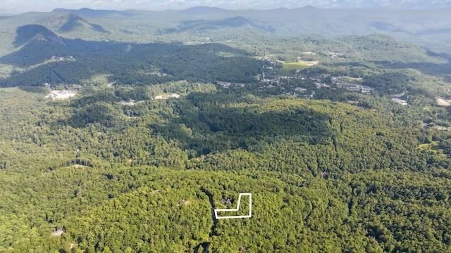 LOT6 Big Sheepcliff Rd, Cashiers, NC 28717 - photo 13