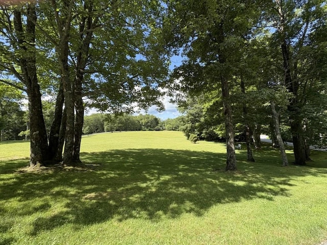 LOT6 Big Sheepcliff Rd, Cashiers, NC 28717 - photo 28