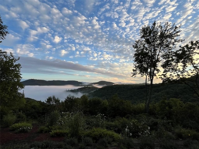 LOT6 Big Sheepcliff Rd, Cashiers, NC 28717 - photo 21