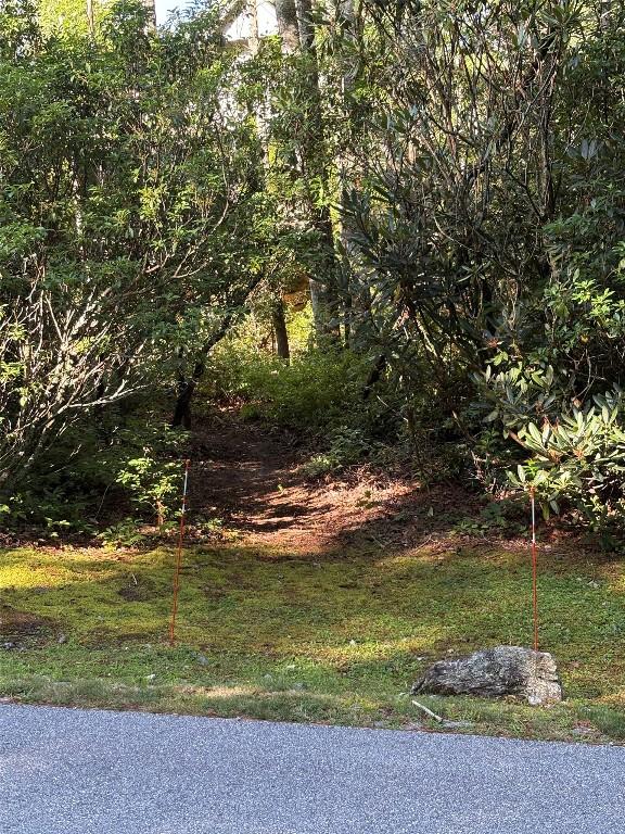 LOT6 Big Sheepcliff Rd, Cashiers, NC 28717 - photo 2