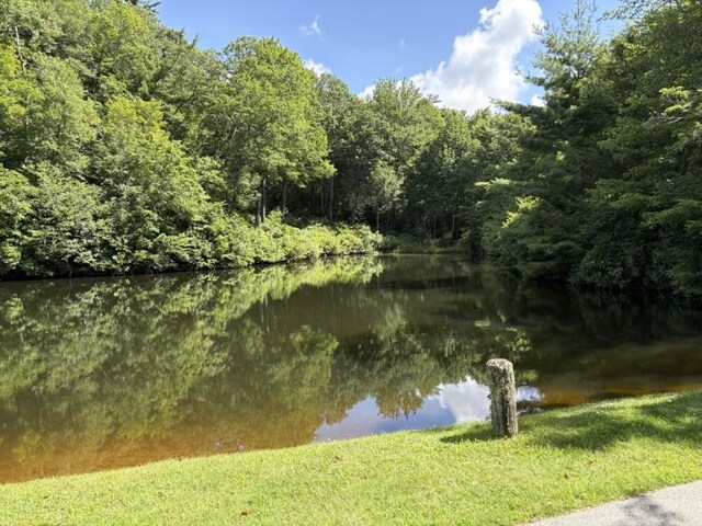 LOT6 Big Sheepcliff Rd, Cashiers, NC 28717 - photo 30