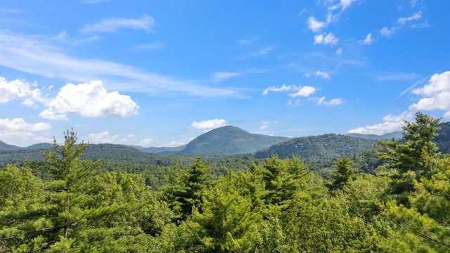 LOT6 Big Sheepcliff Rd, Cashiers, NC 28717 - photo 6