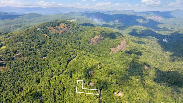 LOT6 Big Sheepcliff Rd, Cashiers, NC 28717 - photo 1