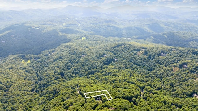 LOT6 Big Sheepcliff Rd, Cashiers, NC 28717 - photo 14
