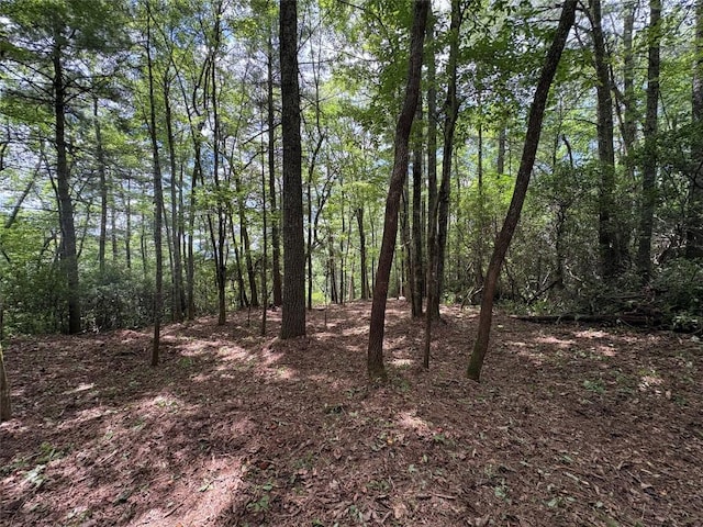 LOT6 Big Sheepcliff Rd, Cashiers, NC 28717 - photo 11