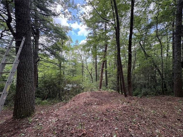 LOT6 Big Sheepcliff Rd, Cashiers, NC 28717 - photo 3