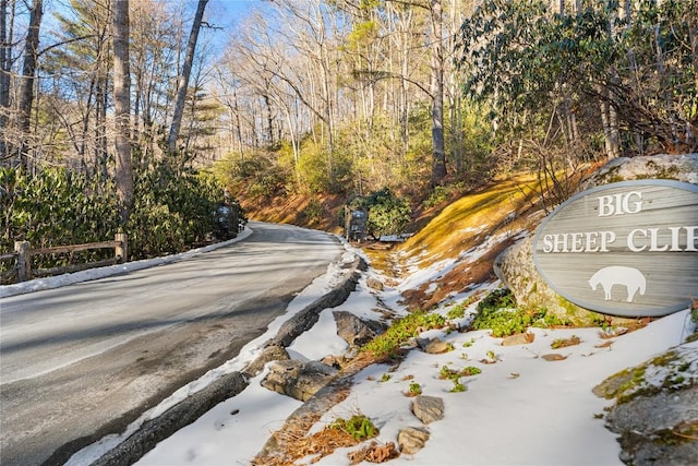 LOT6 Big Sheepcliff Rd, Cashiers, NC 28717 - photo 17