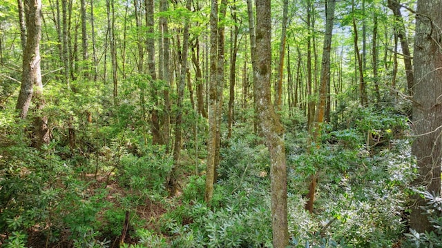 LOT6 Big Sheepcliff Rd, Cashiers, NC 28717 - photo 5