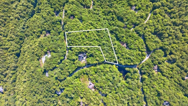 LOT6 Big Sheepcliff Rd, Cashiers, NC 28717 - photo 12
