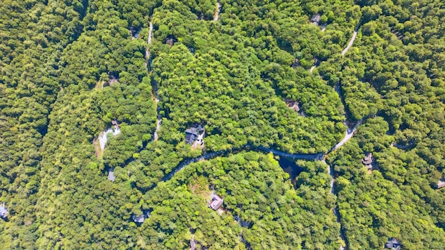 LOT6 Big Sheepcliff Rd, Cashiers, NC 28717 - photo 15